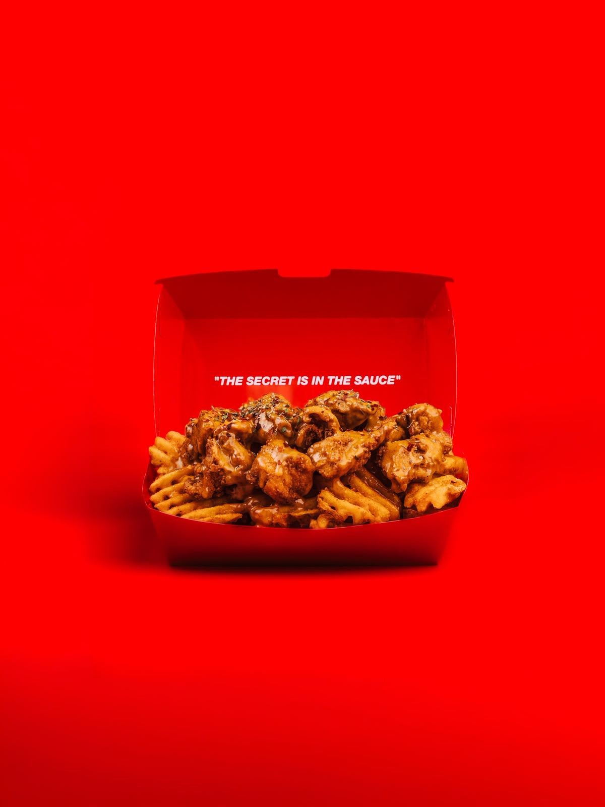 Popcorn Chicken Meal